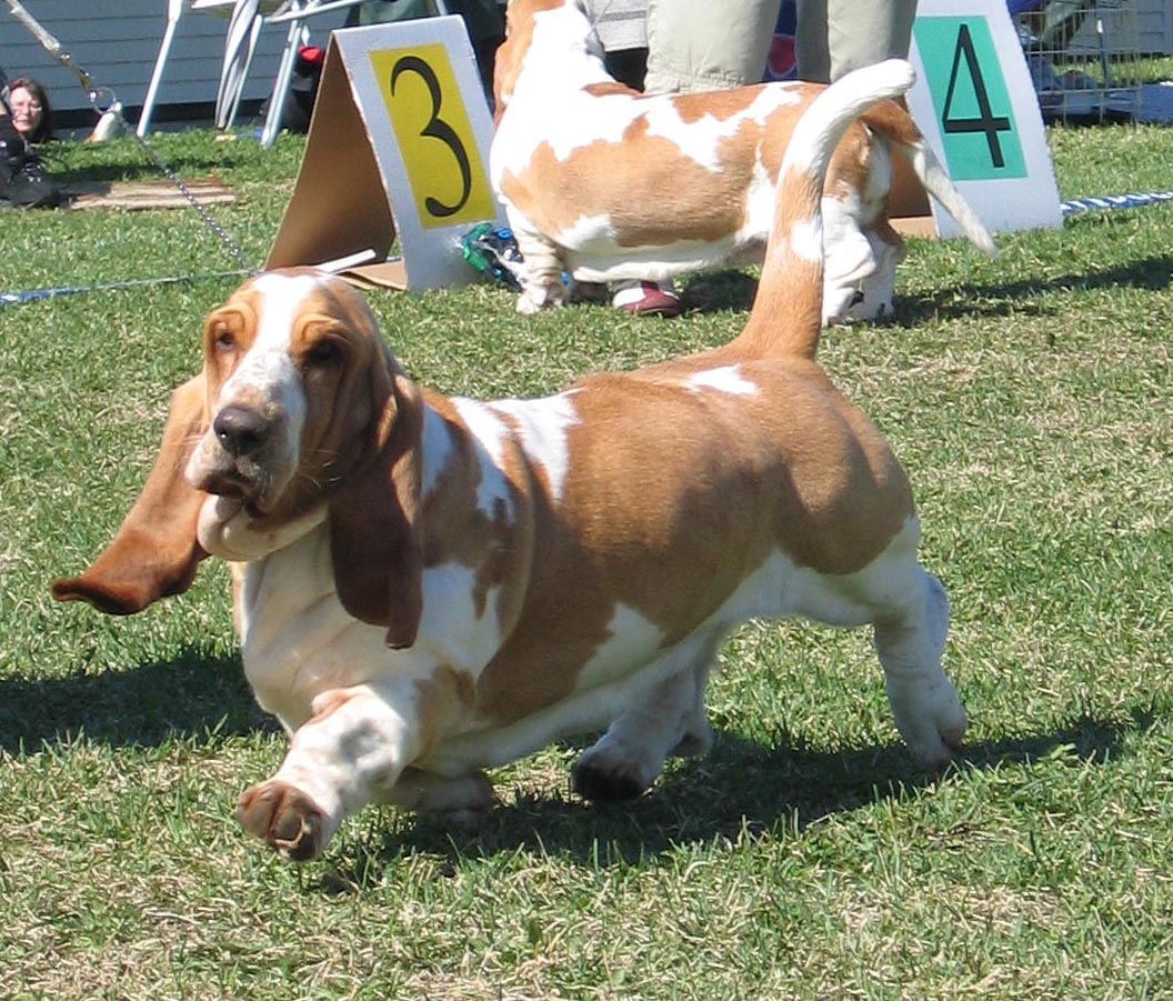 Colla in mig ni, here I come